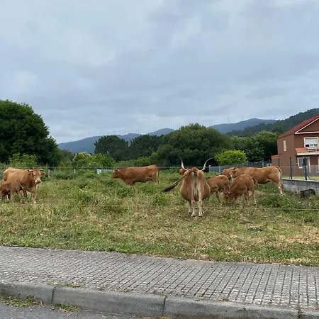 Appartement Second Floor Near The Esteiro-Muros