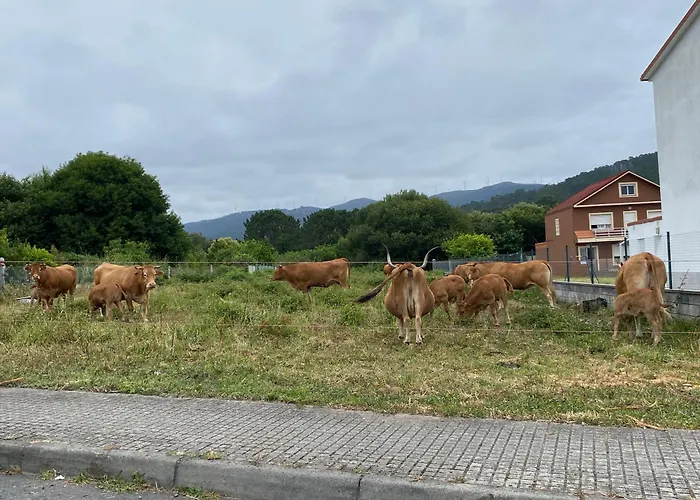 아파트 Second Floor Near The Esteiro-Muros